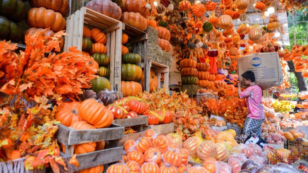10 Shocking Halloween Truths You Probably Didn’t Know