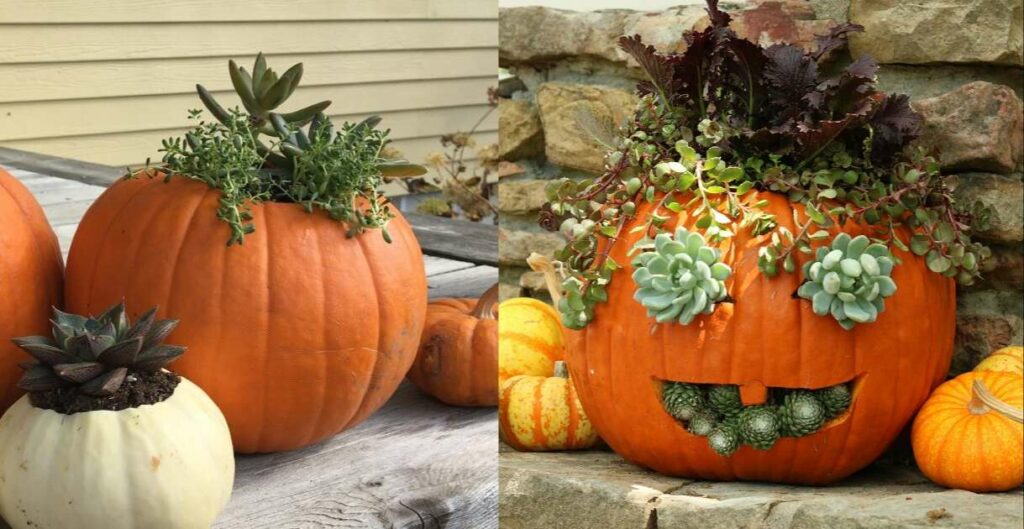 Impressive pumpkin planters