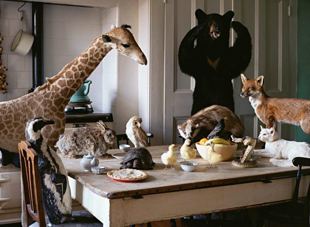 Taxidermy art